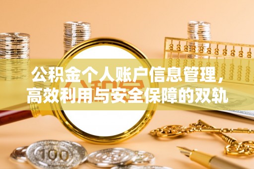 国姓公积金个人账户信息管理，高效利用与安全保障的双轨并行