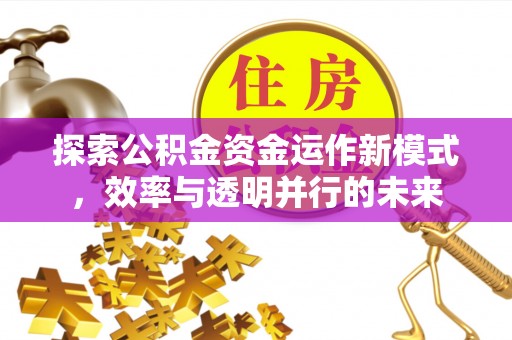 国姓探索公积金资金运作新模式，效率与透明并行的未来