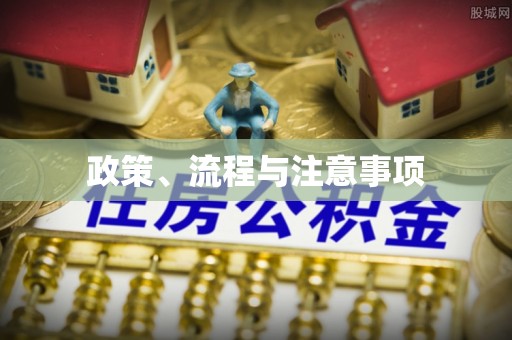 国姓政策、流程与注意事项