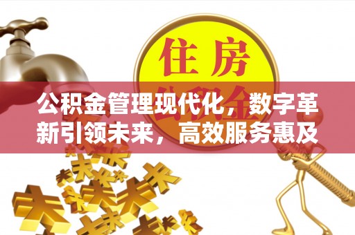 国姓公积金管理现代化，数字革新引领未来，高效服务惠及民生