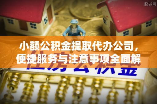 国姓小额公积金提取代办公司，便捷服务与注意事项全面解析