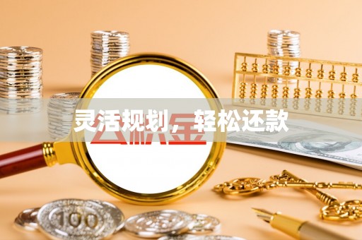 国姓灵活规划，轻松还款