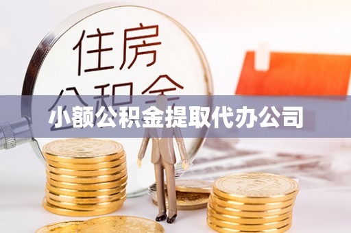国姓小额公积金提取代办公司