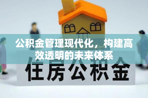 国姓公积金管理现代化，构建高效透明的未来体系