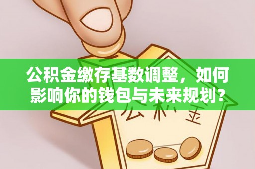 国姓公积金缴存基数调整，如何影响你的钱包与未来规划？
