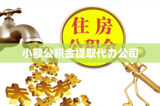 国姓小额公积金提取代办公司
