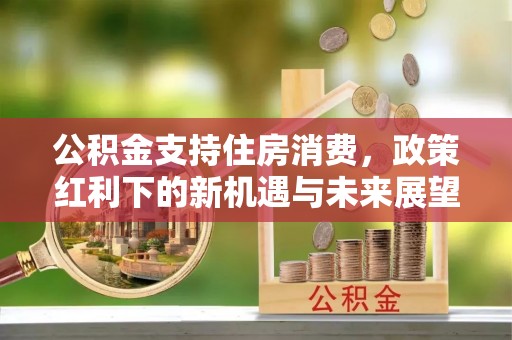 国姓公积金支持住房消费，政策红利下的新机遇与未来展望
