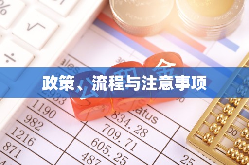 国姓政策、流程与注意事项