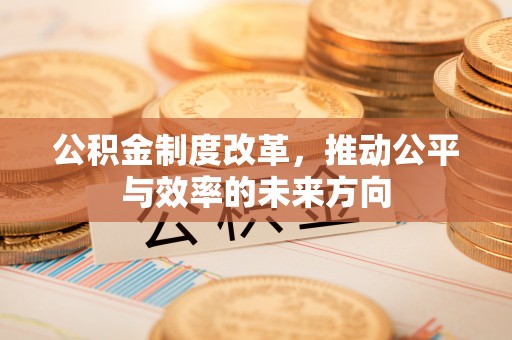 国姓公积金制度改革，推动公平与效率的未来方向