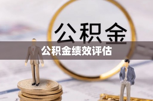 国姓公积金绩效评估