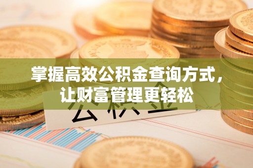 国姓掌握高效公积金查询方式，让财富管理更轻松