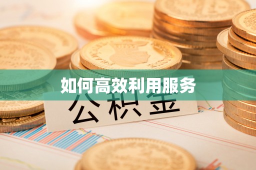 国姓如何高效利用服务