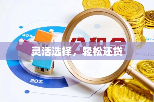 国姓灵活选择，轻松还贷
