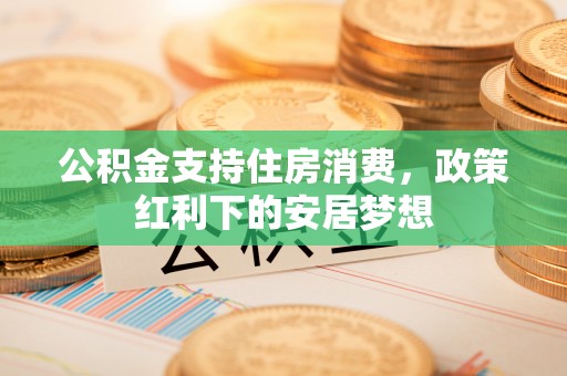 国姓公积金支持住房消费，政策红利下的安居梦想