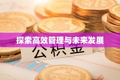国姓探索高效管理与未来发展