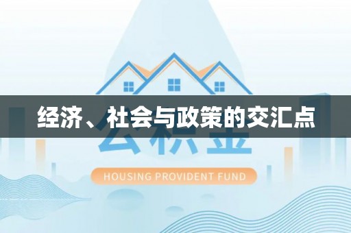 国姓经济、社会与政策的交汇点
