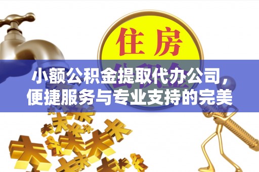 国姓小额公积金提取代办公司，便捷服务与专业支持的完美结合