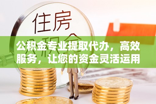 国姓公积金专业提取代办，高效服务，让您的资金灵活运用