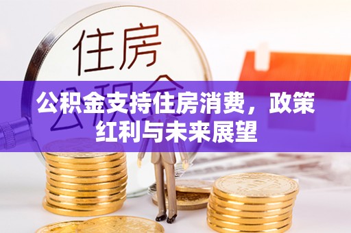 国姓公积金支持住房消费，政策红利与未来展望