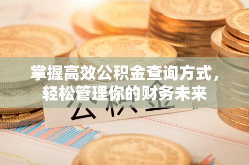 国姓掌握高效公积金查询方式，轻松管理你的财务未来