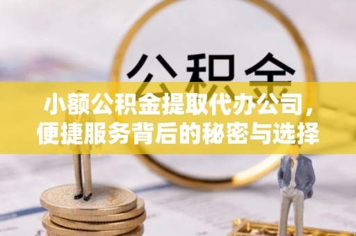 国姓小额公积金提取代办公司，便捷服务背后的秘密与选择指南