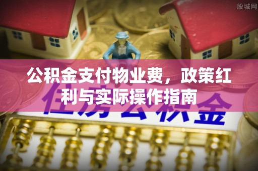 国姓公积金支付物业费，政策红利与实际操作指南