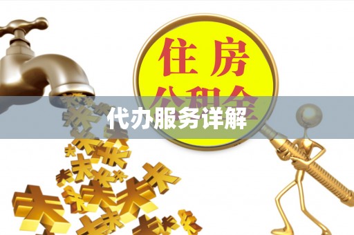 国姓代办服务详解