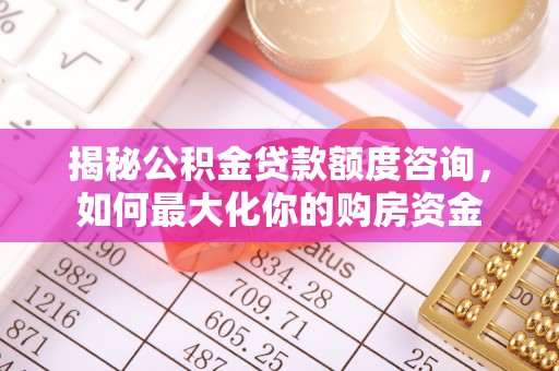国姓揭秘公积金贷款额度咨询，如何最大化你的购房资金