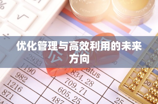 国姓优化管理与高效利用的未来方向