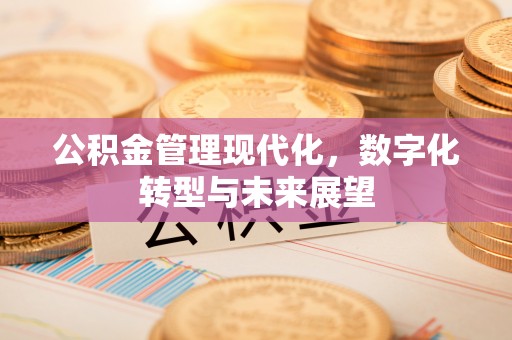 国姓公积金管理现代化，数字化转型与未来展望