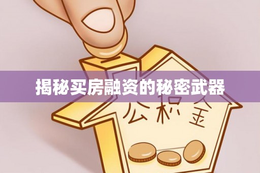 国姓揭秘买房融资的秘密武器