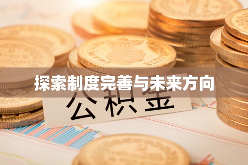 国姓探索制度完善与未来方向