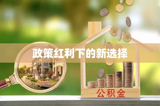 国姓政策红利下的新选择