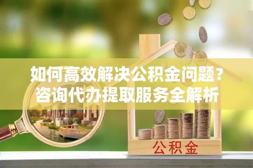 国姓如何高效解决公积金问题？咨询代办提取服务全解析