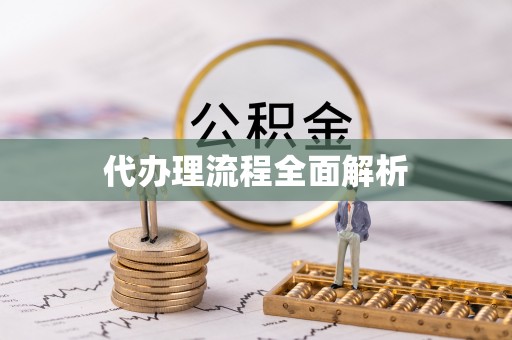国姓代办理流程全面解析