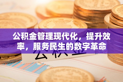 国姓公积金管理现代化，提升效率，服务民生的数字革命