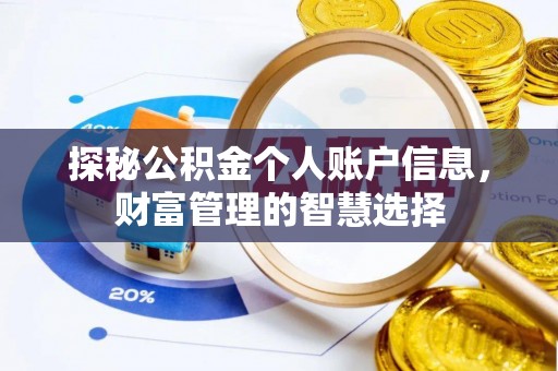 国姓探秘公积金个人账户信息，财富管理的智慧选择