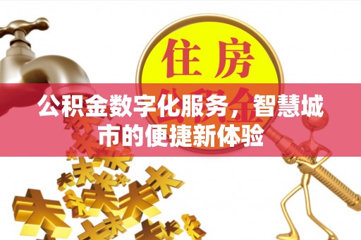 国姓公积金数字化服务，智慧城市的便捷新体验