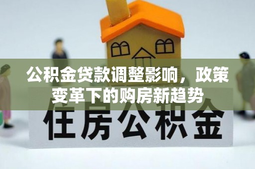 国姓公积金贷款调整影响，政策变革下的购房新趋势