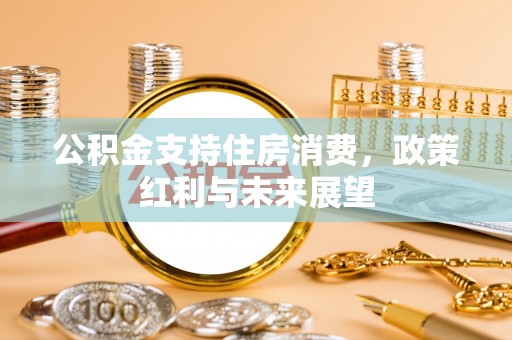 国姓公积金支持住房消费，政策红利与未来展望