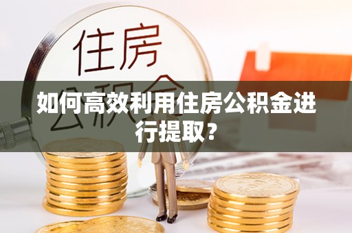 国姓如何高效利用住房公积金进行提取？