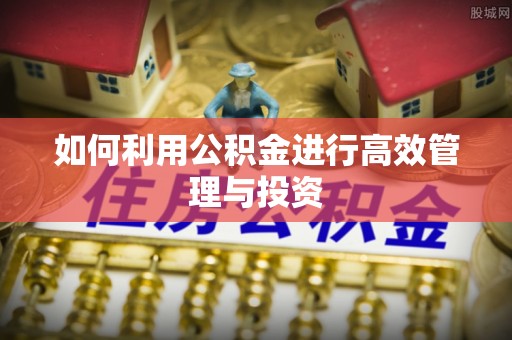 国姓如何利用公积金进行高效管理与投资