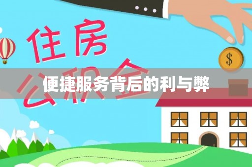 国姓便捷服务背后的利与弊